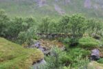 hkb_36-971_ramsberg_2023_049