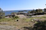 hkb_36-979_skaatoey_2023_042