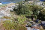 hkb_37-971_ersfjord_2023_005