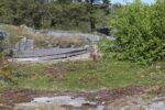 hkb_37-979_trolldalen_2023_084
