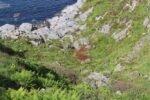hkb_38-976_eltevik_2023_049