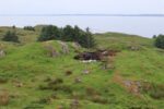 hkb_38-977_maroey-nord_2023_001