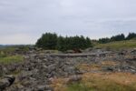 hkb_38-977_maroey-nord_2023_060