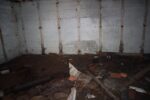 hkb_38-977_maroey-nord_2023_078