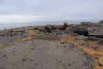 hkb_38-977_maroey-nord_2023_109