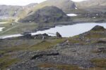 hkb_4-448_kongsfjord_2019_001