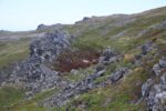hkb_4-448_kongsfjord_2019_010