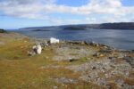 hkb_4-448_kongsfjord_2019_023
