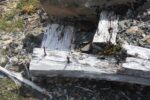 hkb_4-448_kongsfjord_2019_026
