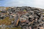 hkb_4-448_kongsfjord_2019_028