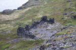hkb_4-448_kongsfjord_2019_045