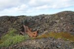 hkb_4-448_kongsfjord_2019_047