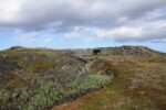 hkb_4-448_kongsfjord_2019_051