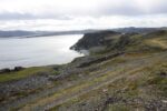 hkb_4-448_kongsfjord_2019_055