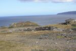 hkb_4-448_kongsfjord_2019_057