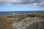 hkb_4-448_kongsfjord_2019_069