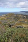 hkb_4-448_kongsfjord_2019_087