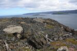hkb_4-448_kongsfjord_2019_088