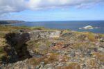 hkb_4-448_kongsfjord_2019_110