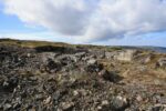 hkb_4-448_kongsfjord_2019_112