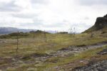hkb_4-448_kongsfjord_2019_126