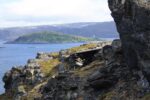 hkb_4-448_kongsfjord_2019_127