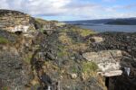 hkb_4-448_kongsfjord_2019_140