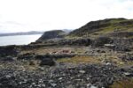 hkb_4-448_kongsfjord_2019_145
