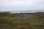 hkb_4-480_gamvik_2019_020