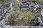hkb_4-480_gamvik_2019_027