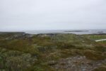 hkb_4-480_gamvik_2019_029