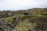 hkb_4-480_gamvik_2019_047
