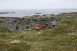 hkb_4-480_gamvik_2019_081