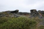 hkb_4-480_gamvik_2019_114