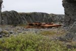 hkb_4-480_gamvik_2019_115