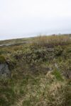 hkb_4-480_gamvik_2019_132