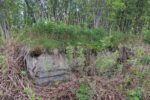 hkb_4-972_langli_2025_001