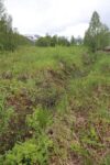 hkb_4-972_langli_2025_002