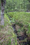 hkb_4-972_langli_2025_013