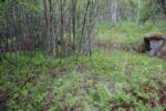 hkb_4-972_langli_2025_016