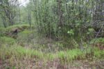 hkb_4-972_langli_2025_021