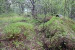 hkb_4-972_langli_2025_023