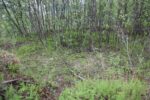 hkb_4-972_langli_2025_027