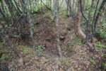 hkb_4-972_langli_2025_035