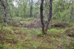 hkb_4-972_langli_2025_037