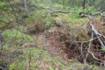 hkb_4-972_langli_2025_038