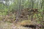 hkb_4-972_langli_2025_042