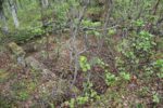 hkb_4-972_langli_2025_044