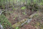 hkb_4-972_langli_2025_045