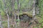hkb_4-972_langli_2025_051